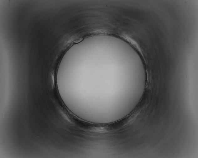 X0000086900061200705071252