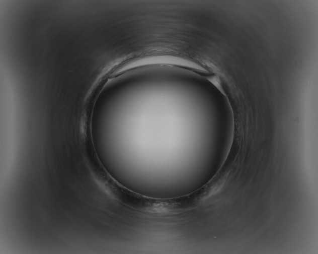 X0000086900064200705071252