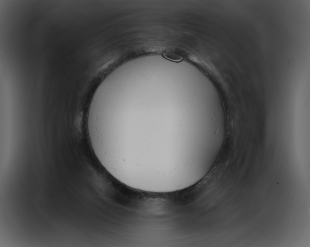 X0000086900066200705071252