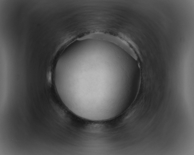 X0000086900067200705071252