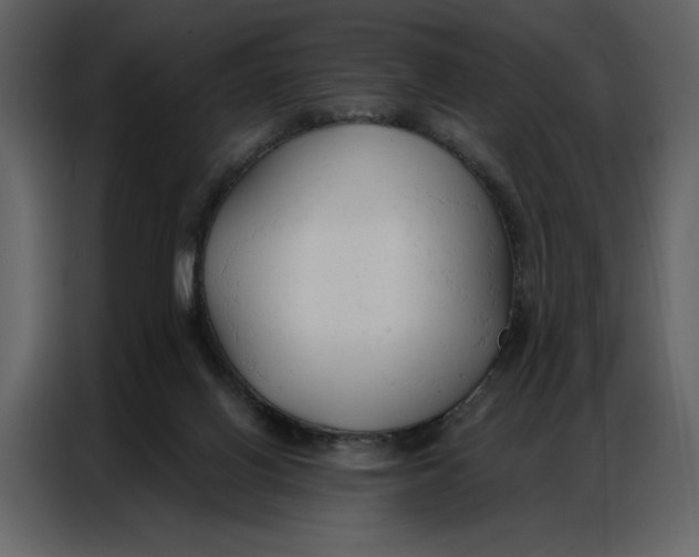 X0000086900070200705071252