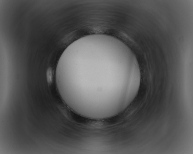 X0000086900075200705071252