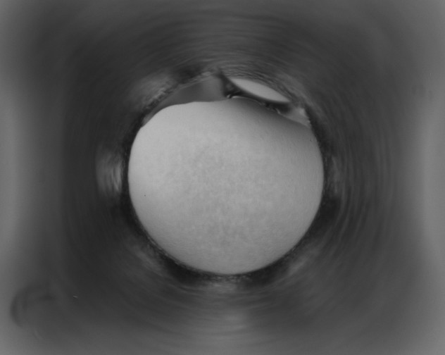 X0000086900076200705071252