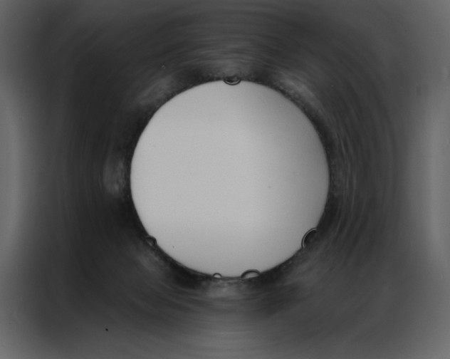 X0000086900077200705071252