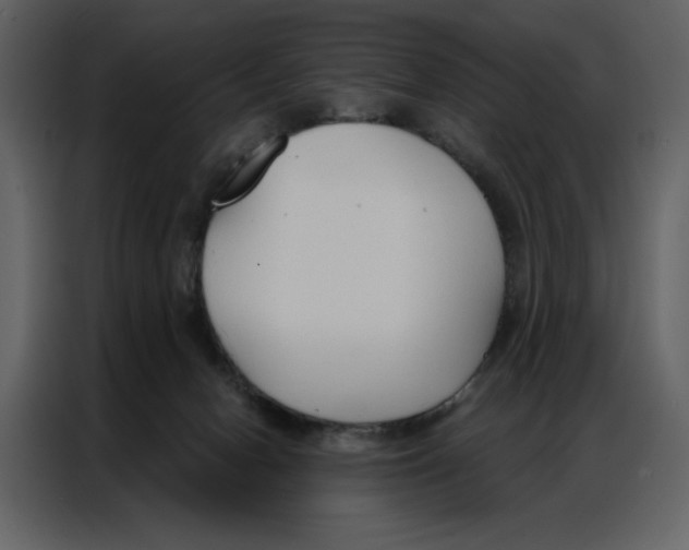 X0000086900078200705071252