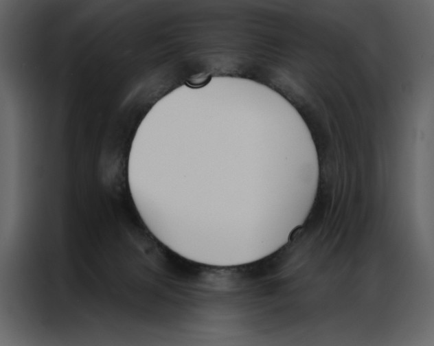 X0000086900079200705071252