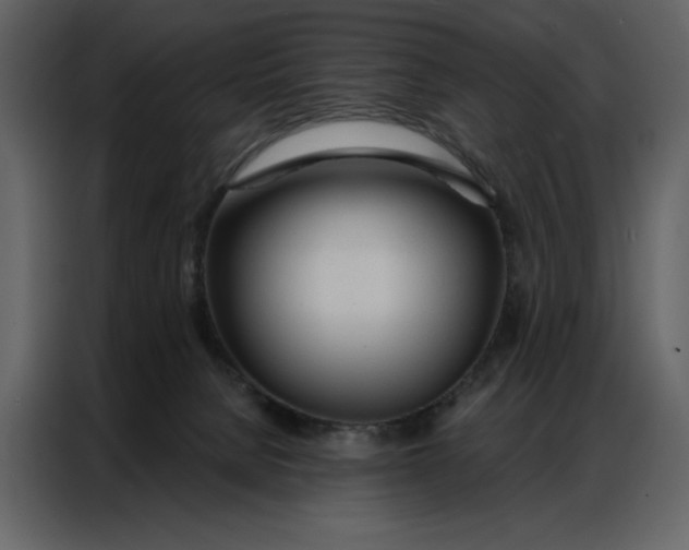 X0000086900080200705071252