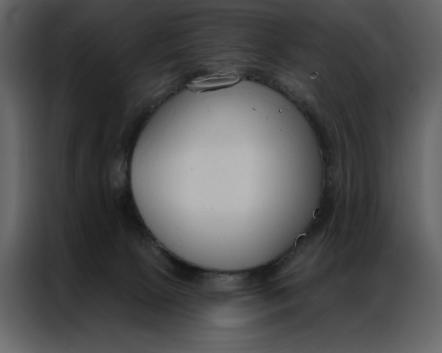 X0000086900081200705071252