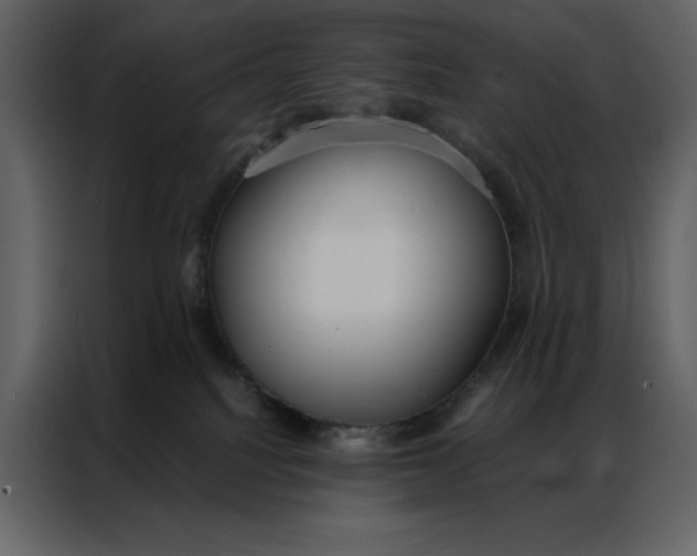 X0000086900088200705071252