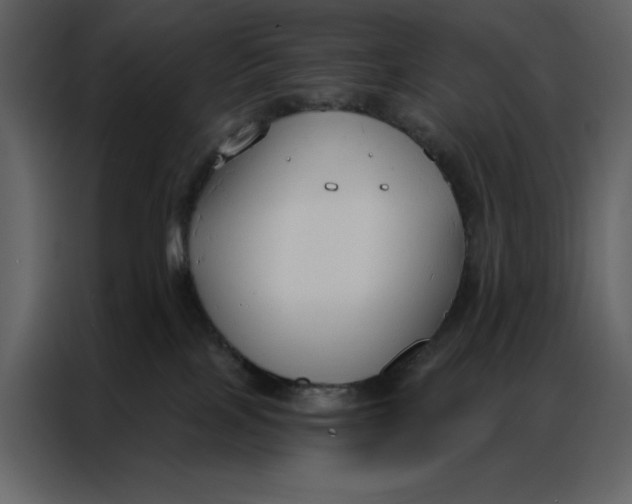 X0000086900089200705071252