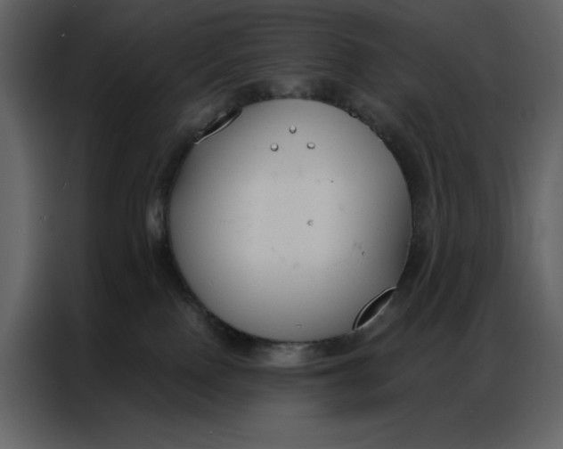 X0000086900090200705071252