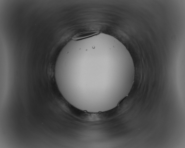 X0000086900091200705071252