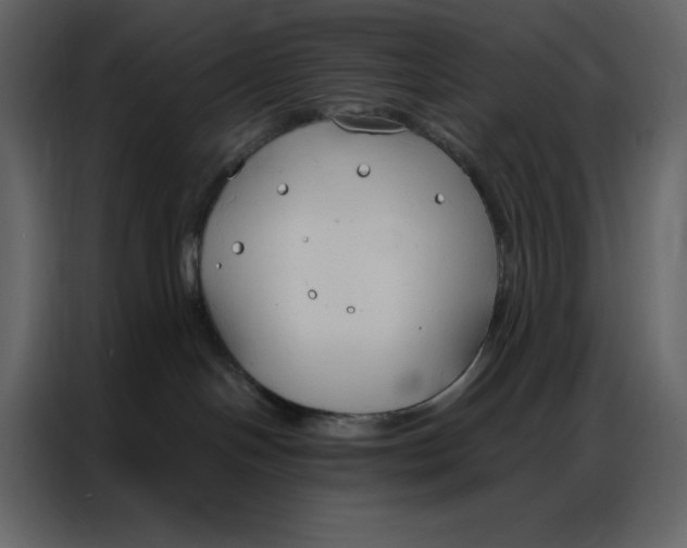 X0000086900094200705071252