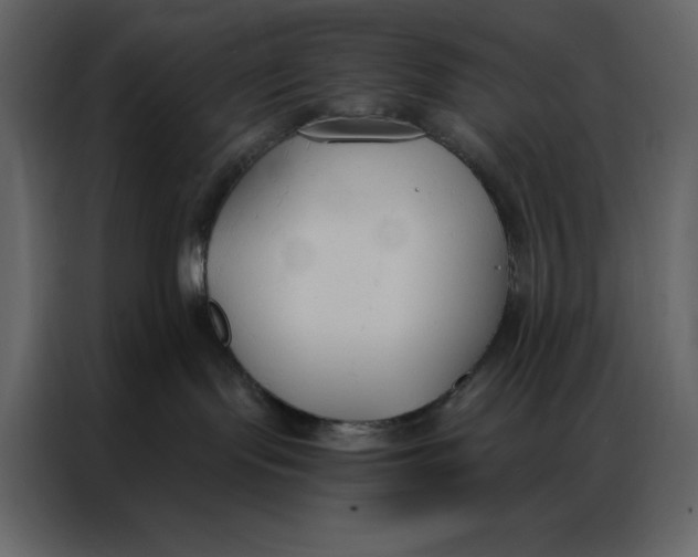 X0000086900095200705071252