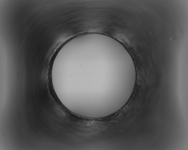 X0000086900098200705071251