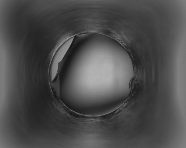 X0000086900099200705071251