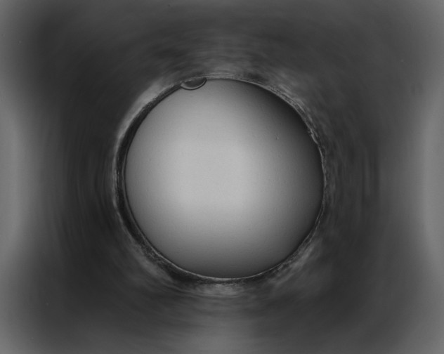 X0000086900102200705071251