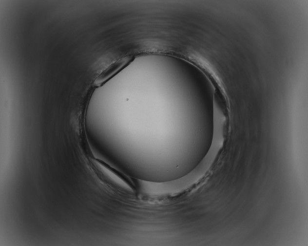 X0000086900105200705071251