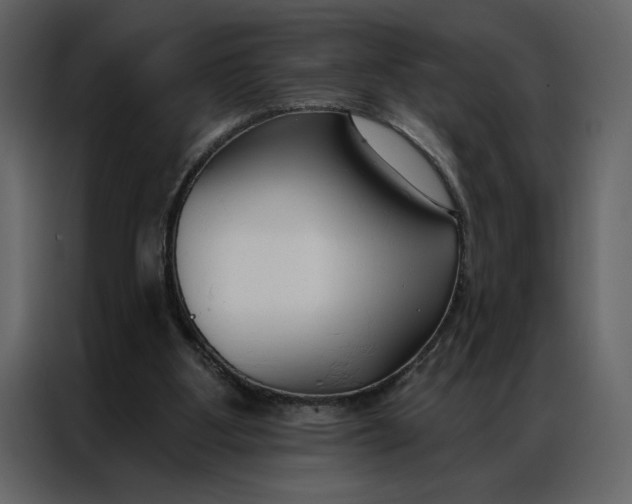 X0000086900107200705071251