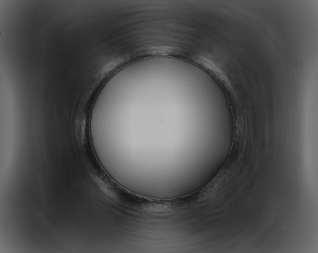 X0000086900110200705071251