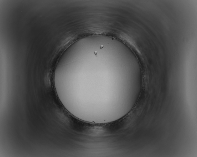 X0000086900114200705071251