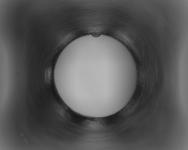 X0000086900118200705071251