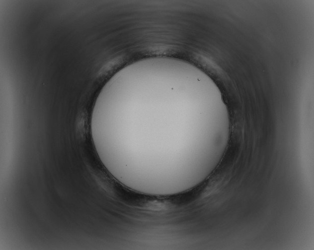 X0000086900119200705071251