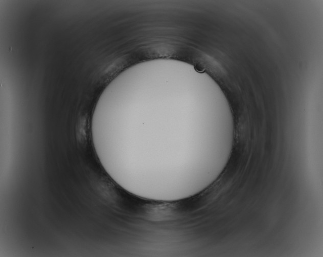 X0000086900122200705071251