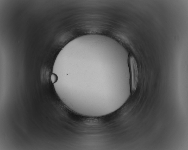 X0000086900123200705071251