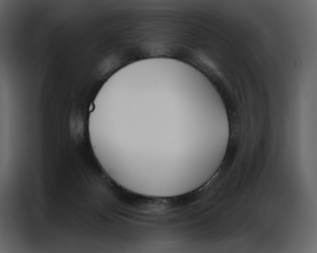 X0000086900124200705071251