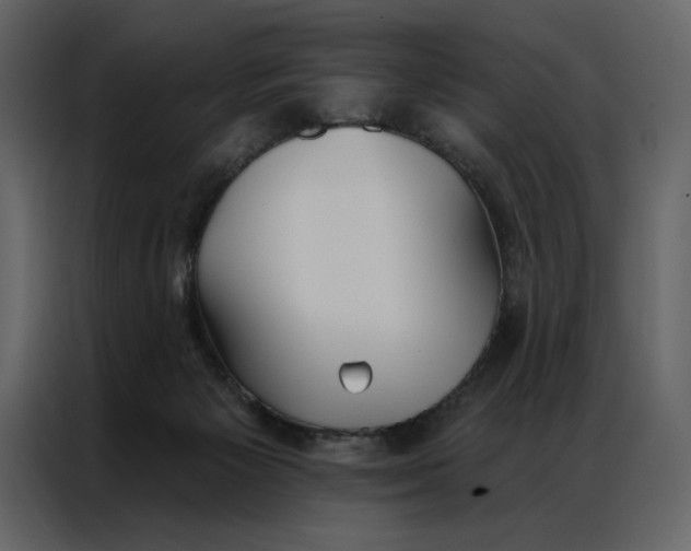 X0000086900125200705071251