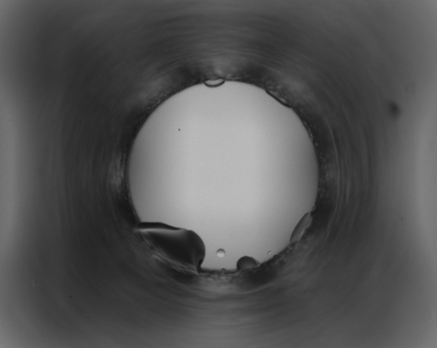 X0000086900129200705071251