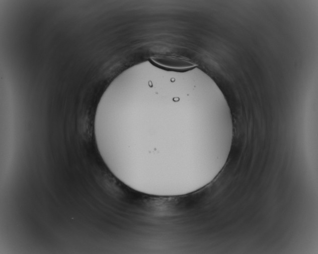 X0000086900136200705071251