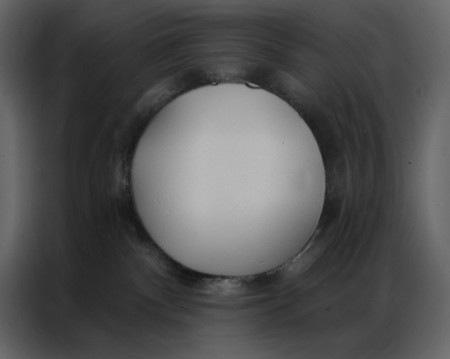 X0000086900140200705071251