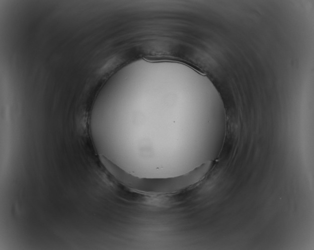 X0000086900141200705071251