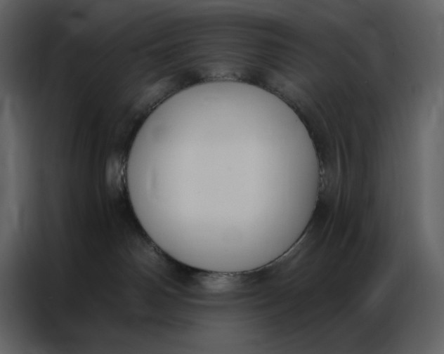 X0000086900142200705071251