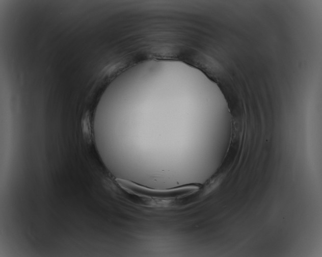 X0000086900143200705071251