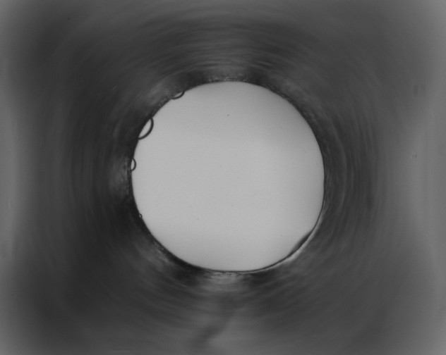 X0000086900144200705071251