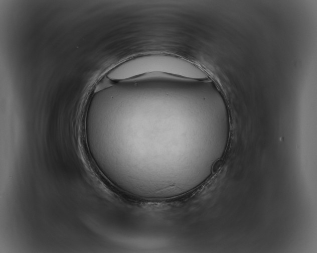 X0000086900145200705071250