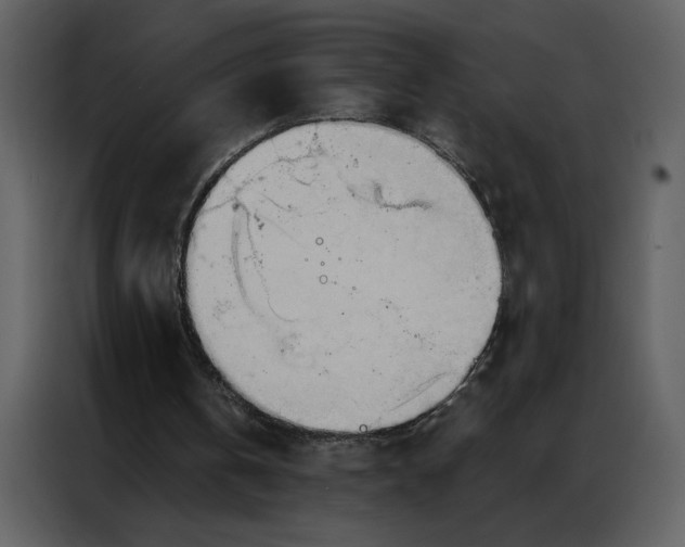 X0000086900146200705071250