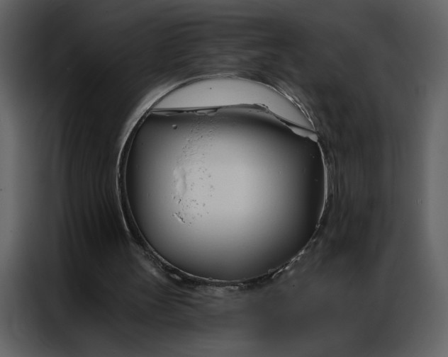 X0000086900147200705071250