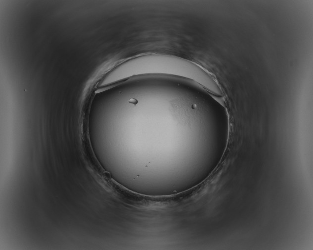 X0000086900149200705071250