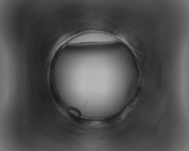 X0000086900151200705071250