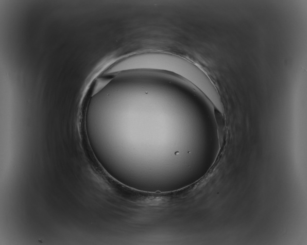 X0000086900152200705071250