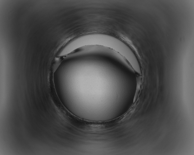 X0000086900154200705071250