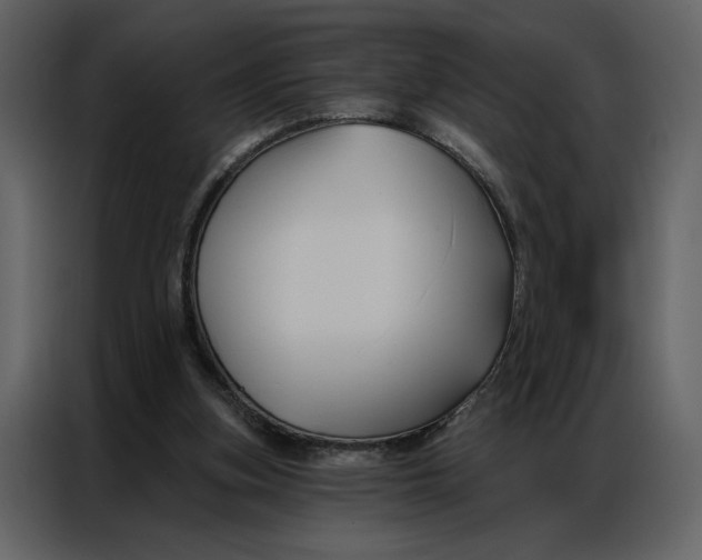 X0000086900155200705071250