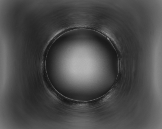 X0000086900156200705071250