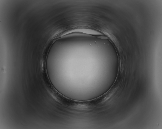 X0000086900157200705071250