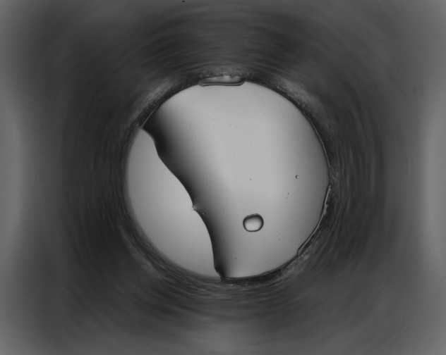 X0000086900158200705071250