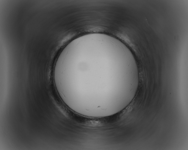 X0000086900159200705071250